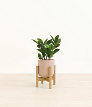 Load image into Gallery viewer, Sandy Pink stand:bamboo