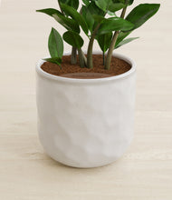 Load image into Gallery viewer, Hammered Ivory stand:all