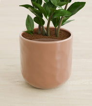 Load image into Gallery viewer, Hammered Peach Pink stand:all