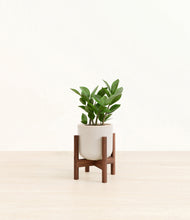 Load image into Gallery viewer, Snowdrift White stand:walnut