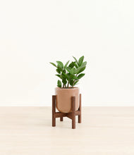 Load image into Gallery viewer, Hammered Peach Pink stand:walnut