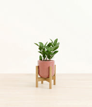 Load image into Gallery viewer, Hammered Rose Pink stand:bamboo