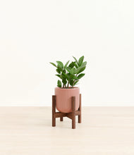 Load image into Gallery viewer, Striped Rose Pink stand:walnut