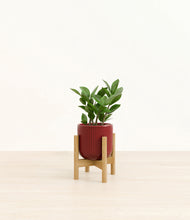 Load image into Gallery viewer, Striped Cherry Red stand:bamboo