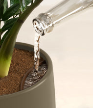 Load image into Gallery viewer, Olive stand:all