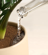 Load image into Gallery viewer, Almond Green stand:all