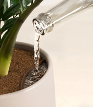 Load image into Gallery viewer, Eternal Gray stand:all