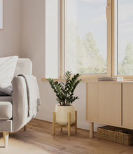 Load image into Gallery viewer, Almond Green stand:light
