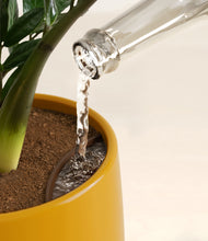 Load image into Gallery viewer, Mustard stand:all