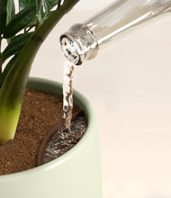 Load image into Gallery viewer, Turquoise stand:all