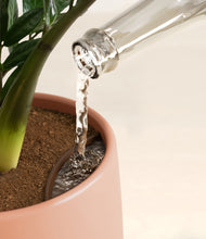 Load image into Gallery viewer, Calm Rose stand:all