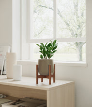 Load image into Gallery viewer, Olive stand:walnut