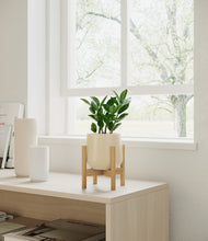 Load image into Gallery viewer, Almond Green stand:bamboo