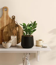 Load image into Gallery viewer, Black