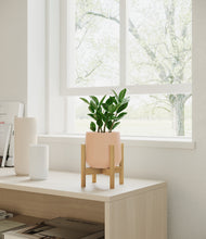 Load image into Gallery viewer, Gentle Pink stand:bamboo