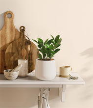 Load image into Gallery viewer, White