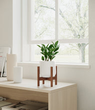 Load image into Gallery viewer, White stand:walnut