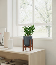 Load image into Gallery viewer, Iron Gray stand:walnut