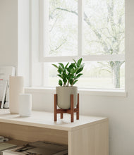 Load image into Gallery viewer, Sage Green stand:walnut