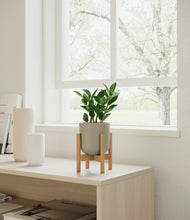 Load image into Gallery viewer, Sage Green stand:bamboo