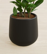 Load image into Gallery viewer, Black stand:all