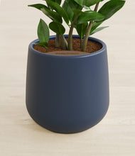 Load image into Gallery viewer, Deep Navy stand:all