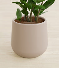 Load image into Gallery viewer, Eternal Gray stand:all