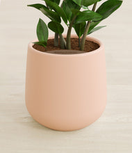 Load image into Gallery viewer, Gentle Pink stand:all