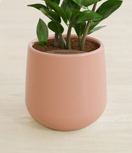 Load image into Gallery viewer, Calm Rose stand:all