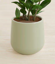 Load image into Gallery viewer, Turquoise stand:all