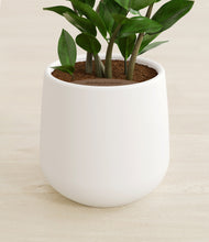 Load image into Gallery viewer, White stand:all