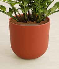 Load image into Gallery viewer, Earth Red stand:all