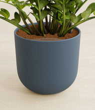 Load image into Gallery viewer, Iron Gray stand:all