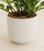 Load image into Gallery viewer, Natural Bamboo stand:all