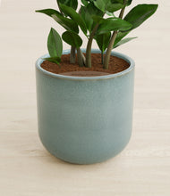 Load image into Gallery viewer, Reactive Aqua stand:all