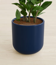 Load image into Gallery viewer, Twilight Blue stand:all