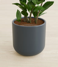 Load image into Gallery viewer, Iron Gray stand:all