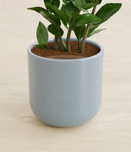 Load image into Gallery viewer, Misty Blue stand:all