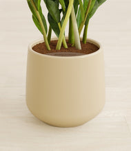 Load image into Gallery viewer, Almond Green stand:all