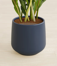 Load image into Gallery viewer, Deep Navy stand:all