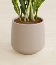 Load image into Gallery viewer, Eternal Gray stand:all