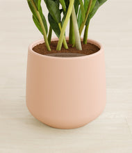 Load image into Gallery viewer, Gentle Pink stand:all