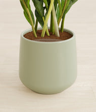 Load image into Gallery viewer, Turquoise stand:all