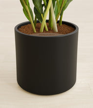 Load image into Gallery viewer, Black stand:all