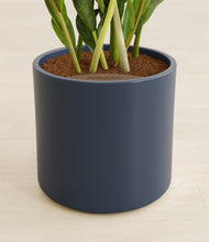 Load image into Gallery viewer, Deep Navy stand:all