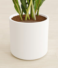 Load image into Gallery viewer, White stand:all