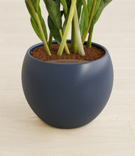 Load image into Gallery viewer, Deep Navy stand:all