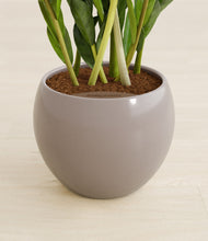 Load image into Gallery viewer, Winter Clouds stand:all