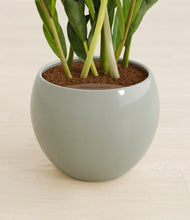 Load image into Gallery viewer, Deep Ocean stand:all