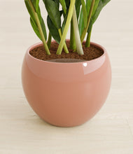 Load image into Gallery viewer, Calm Rose stand:all